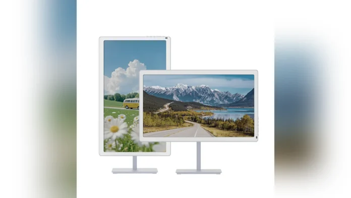 Two Bigme B251 PRO 25.3-inch color E Ink monitors shown in portrait and landscape orientations.